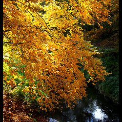 Herbst I